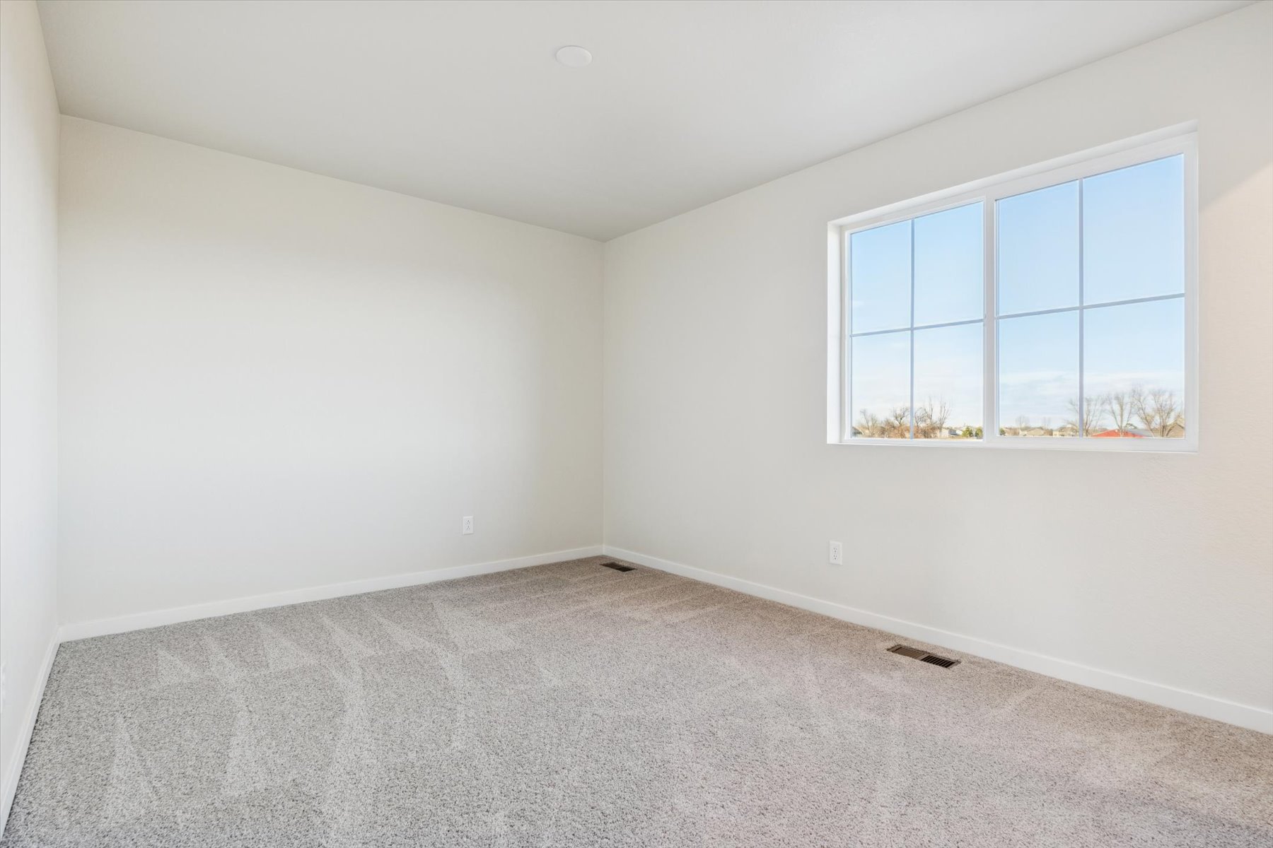 A room with a window and a carpet.