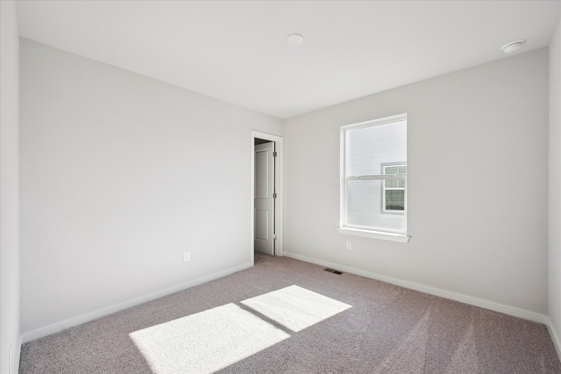 A room with a rug and a window.