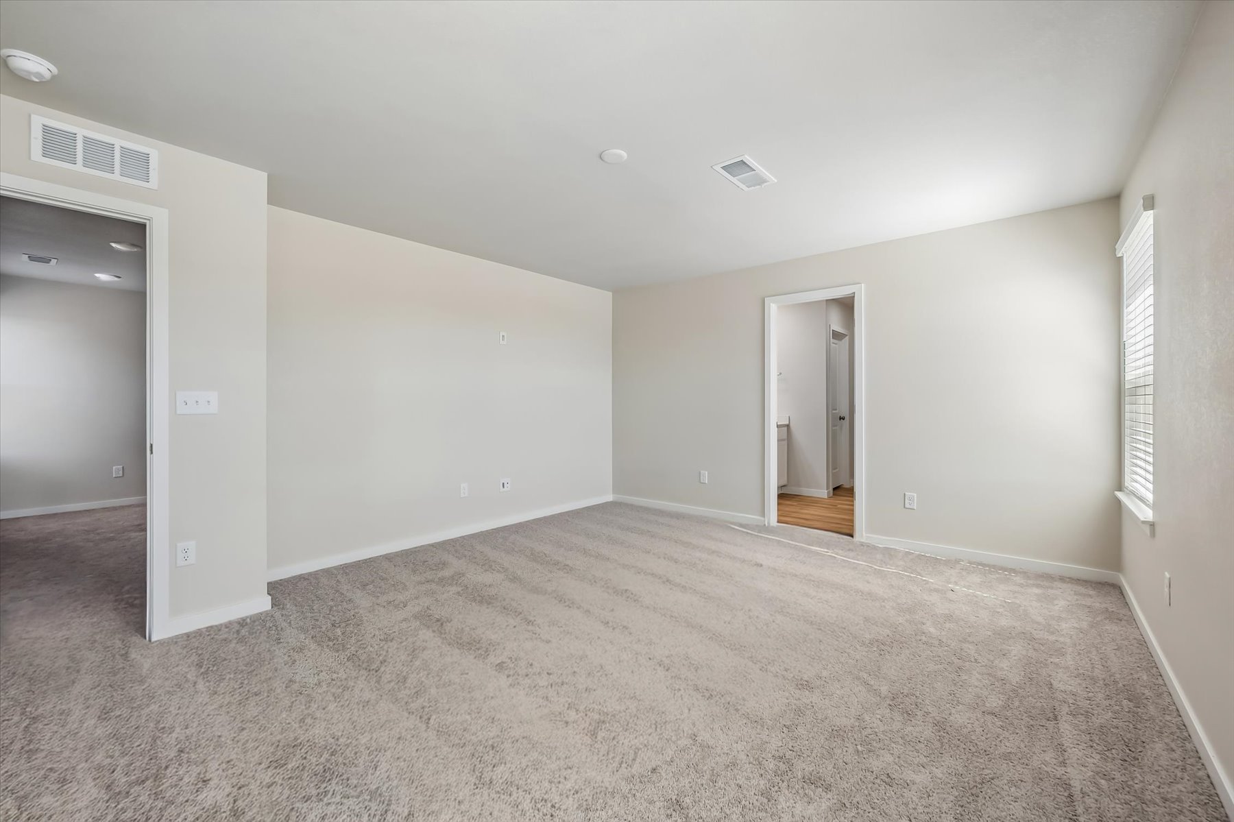 A room with a carpet and a door.