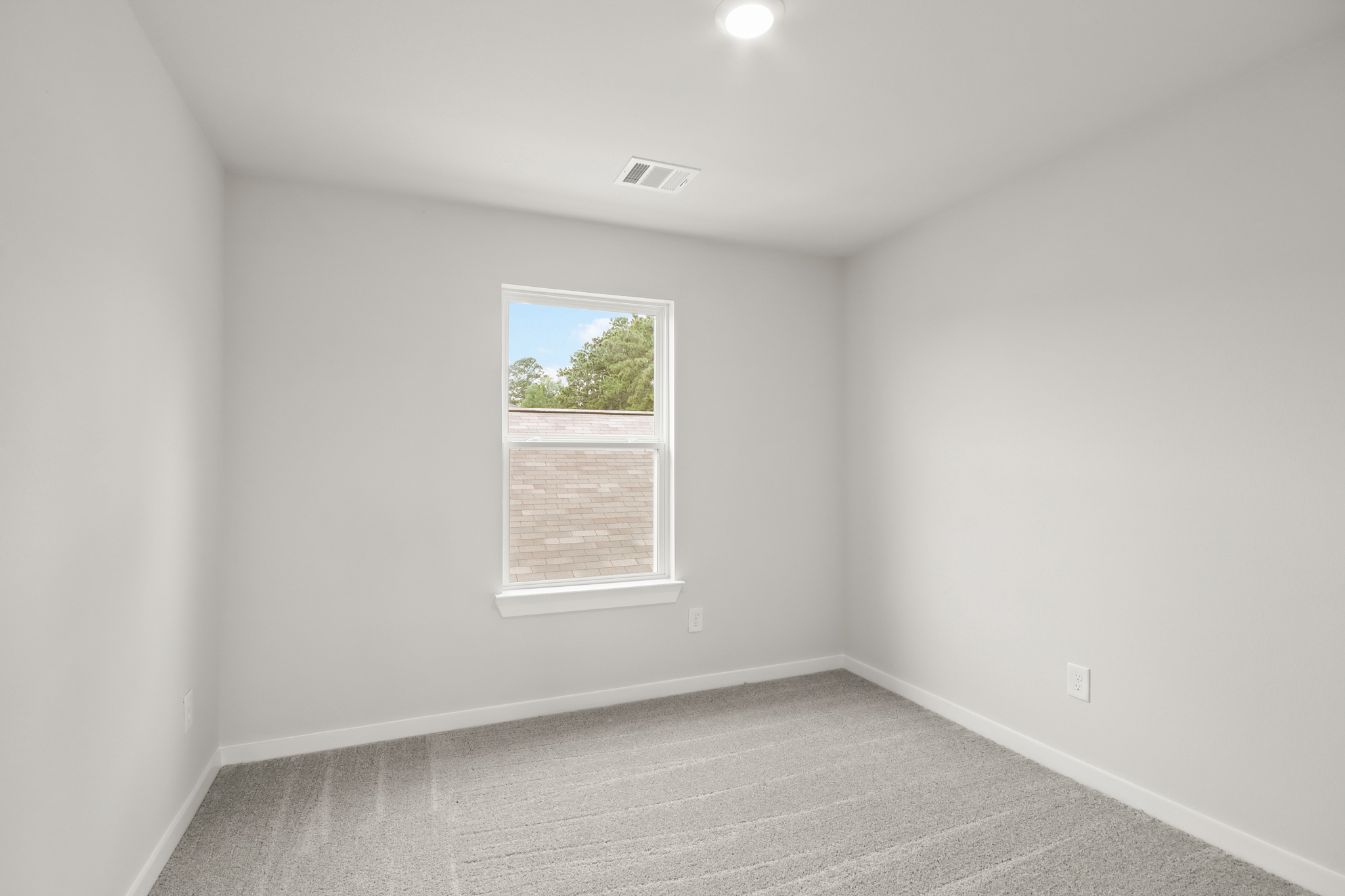 A room with a window and a rug.