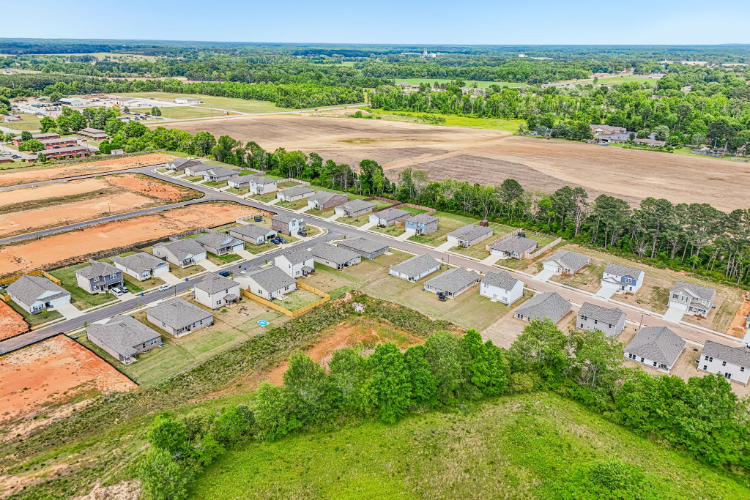 A group of houses in a field.