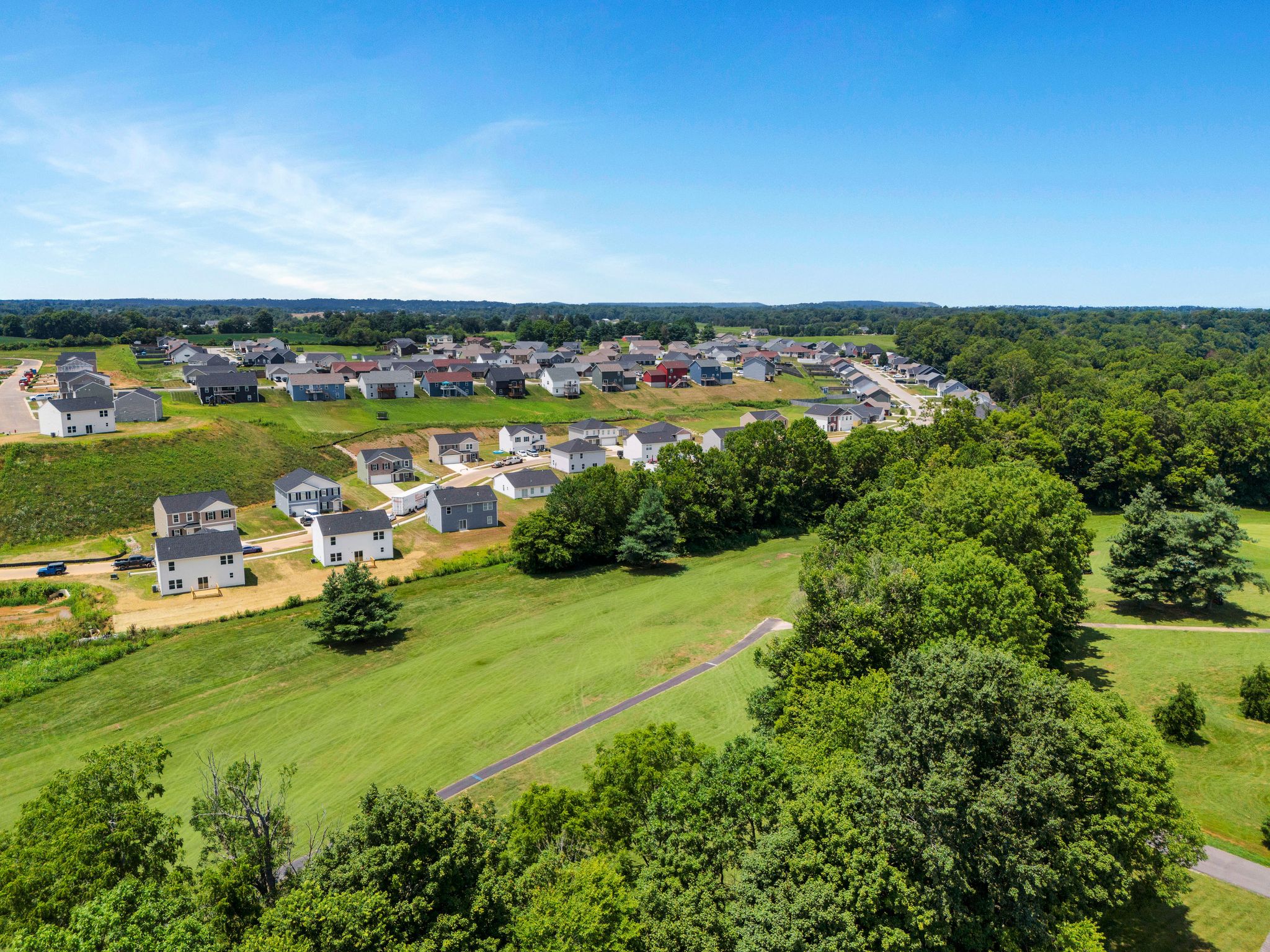 A group of houses in a wooded area.